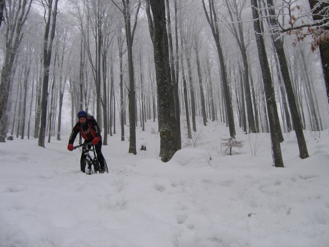 Kolesarjenje Gorjanci 01012008 - foto povečava