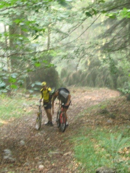 Kolesarjenje Kočevski rog 040904 - foto