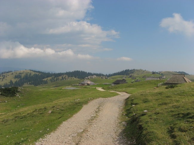 Kolesarjenje Velika planina 050906 - foto povečava