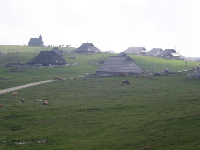 Kolesarjenje Velika planina 050906 - foto povečava