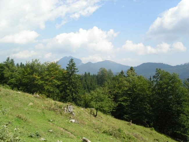 Kolesarjenje Velika planina 050906 - foto povečava