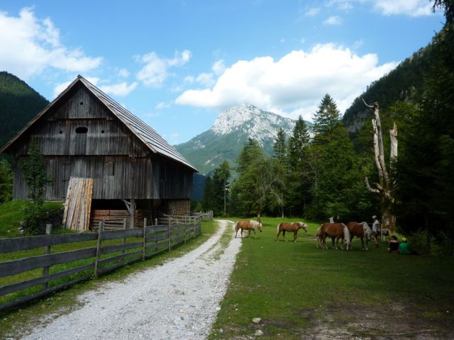 Logarska dolina, Robanov kot - 14.8.2012 - foto