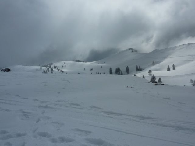 Stahovica-Velika planina - 2.3.2013 - foto