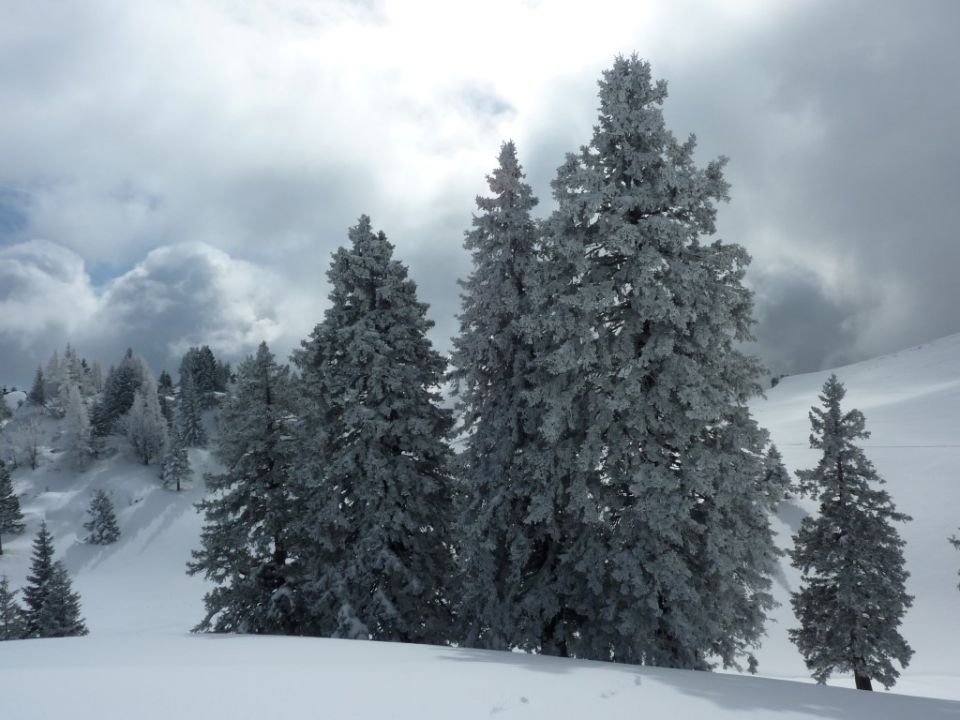 Stahovica-Velika planina - 2.3.2013 - foto povečava