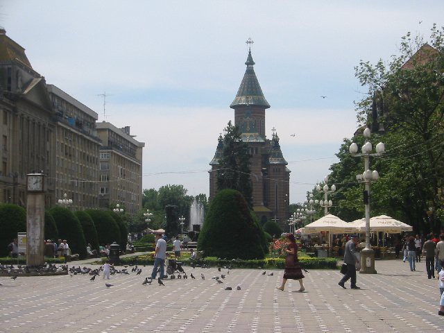 Glavna medstna katedrala, ki zgleda kot iz pravljice