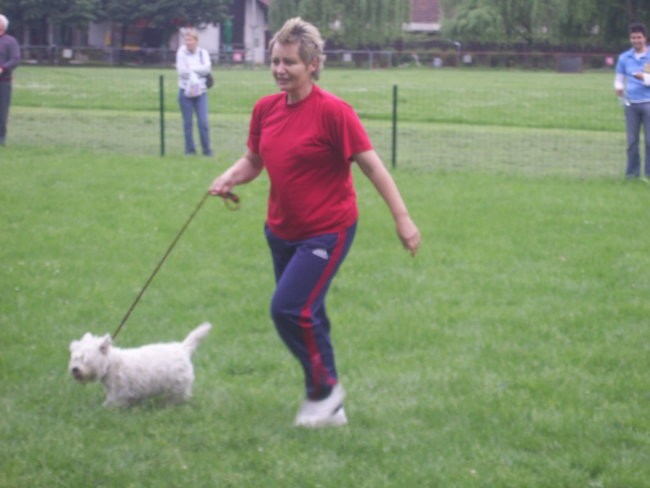 Toby in druščina na zaključni agility tekmi - foto povečava