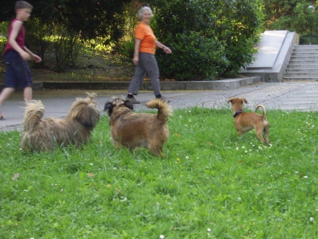 V parku in pri treh ribnikih - foto povečava