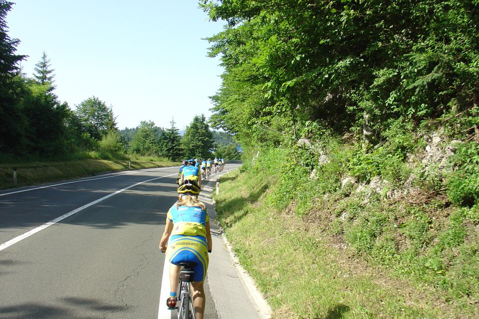 Goriška Brda 2010 - foto povečava