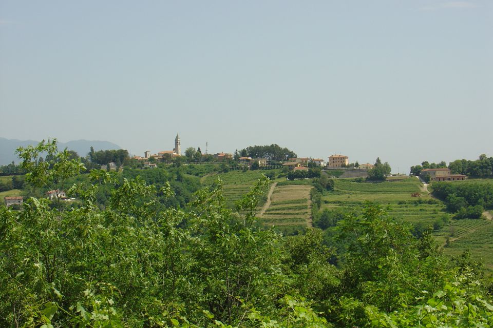 Goriška Brda 2010 - foto povečava