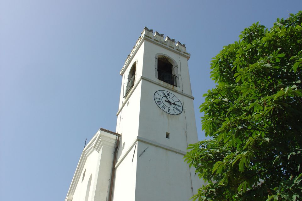 Goriška Brda 2010 - foto povečava