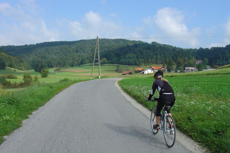 Jagodnik september 2010 - foto povečava