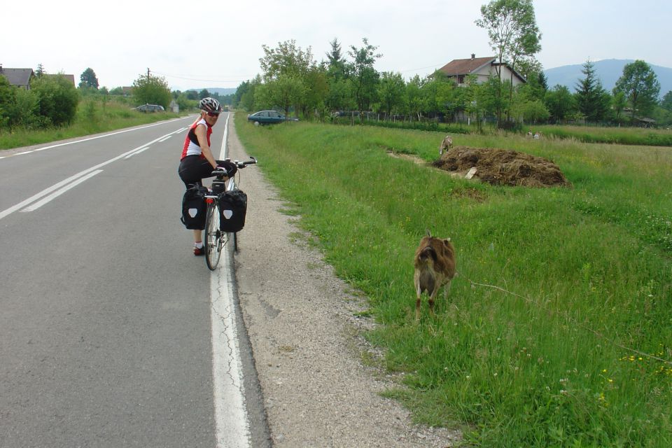 Bosna 2011 četrti dan - foto povečava