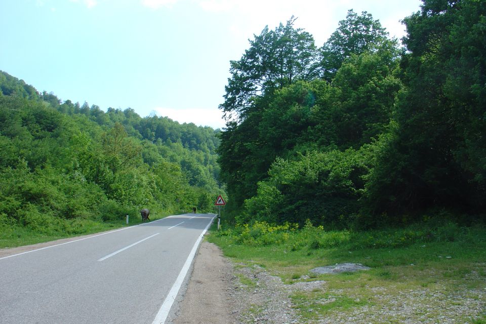 Bosna 2011 peti dan - foto povečava