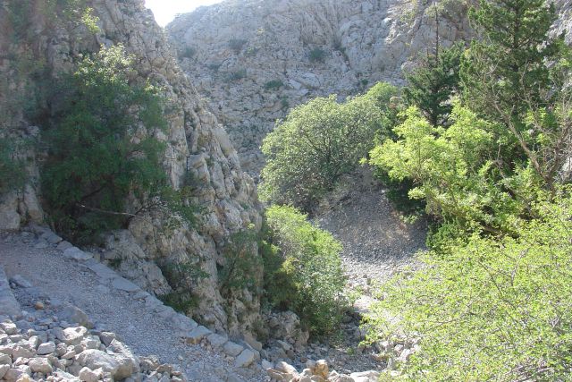 Baška izlet z angelino - foto