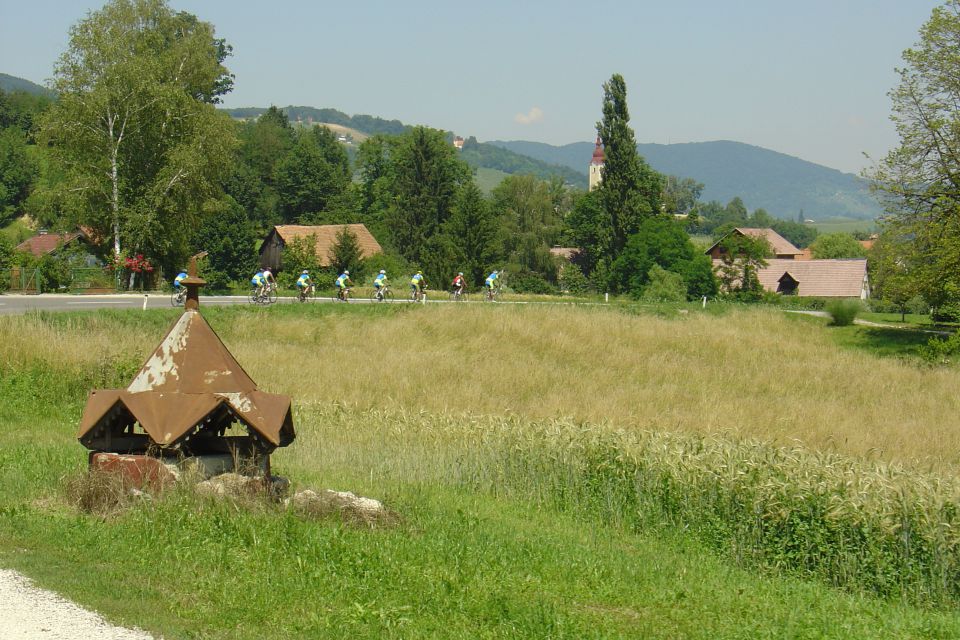 Bizeljsko Junij 2012 - foto povečava