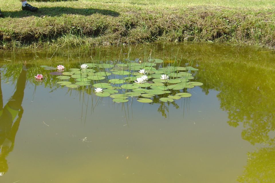 Barka junij 2013 - foto povečava