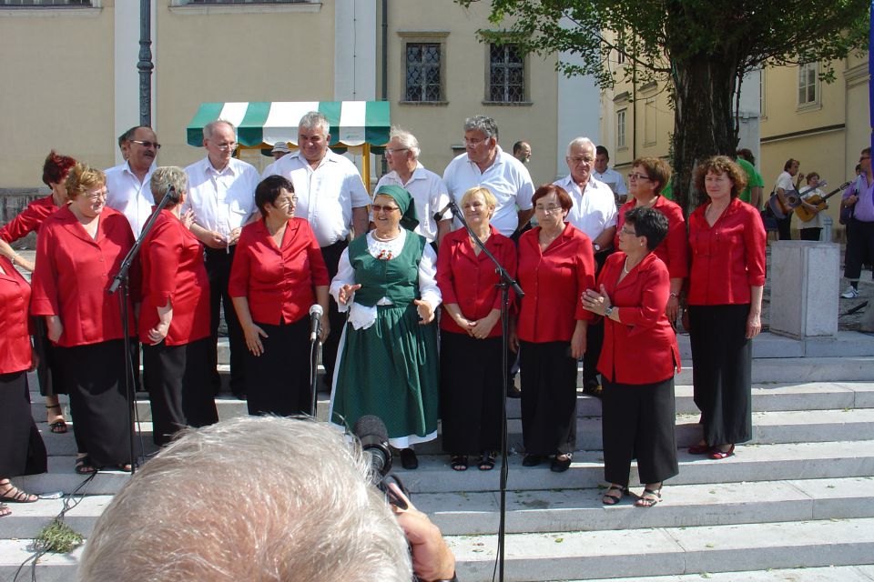 Vukovar ljubljana junij 2013 četrti dan - foto povečava