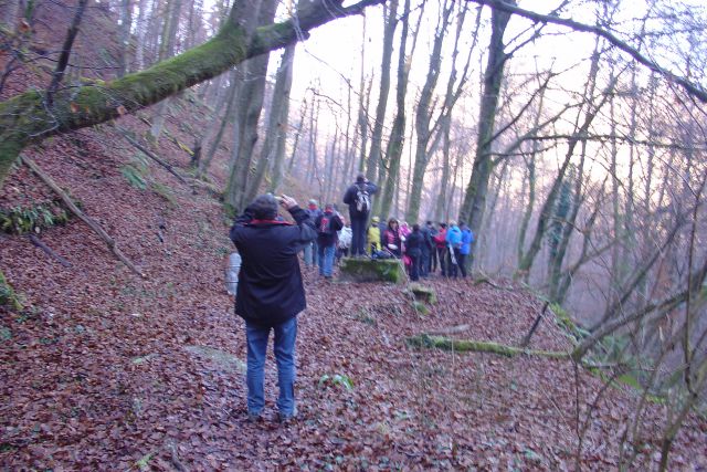 Predsilvesterski pohod 2015 - foto