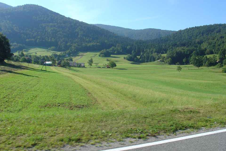 Rakitna avgust 2016 - foto povečava