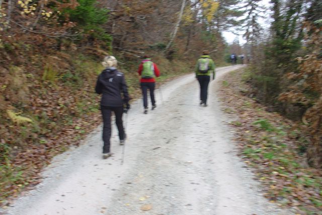 Po levstikovi poti 30. jubilejna 12.11.2016 - foto