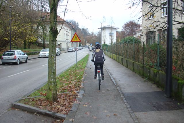 Na ljubljansko tržnico po zelje 23.11.2016 - foto