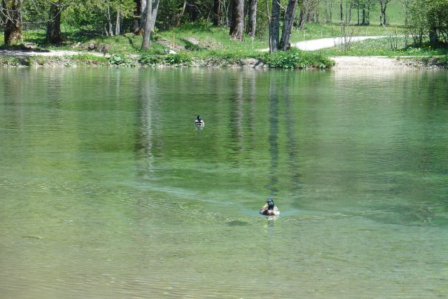 Na jezersko 18.05.2017 - foto