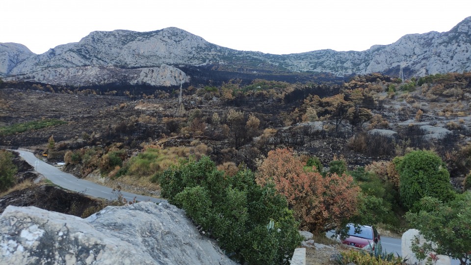 Biokovo 10.8.2024 - foto povečava