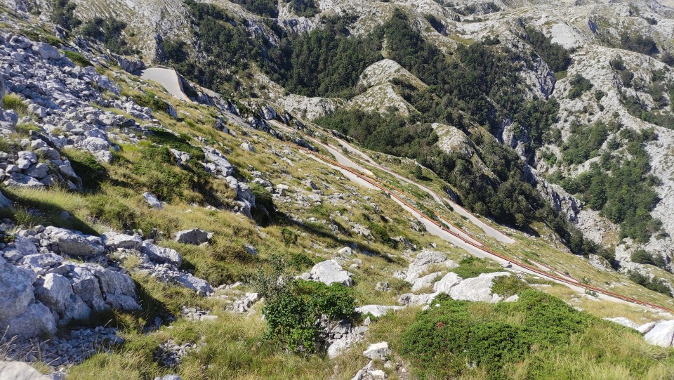 Biokovo 10.8.2024 - foto povečava