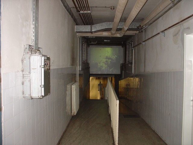 Vukovar - ljubljana 2008 - foto