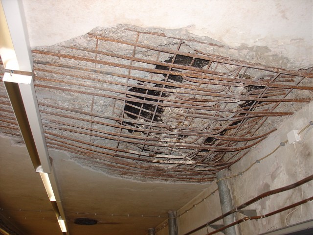Vukovar - ljubljana 2008 - foto