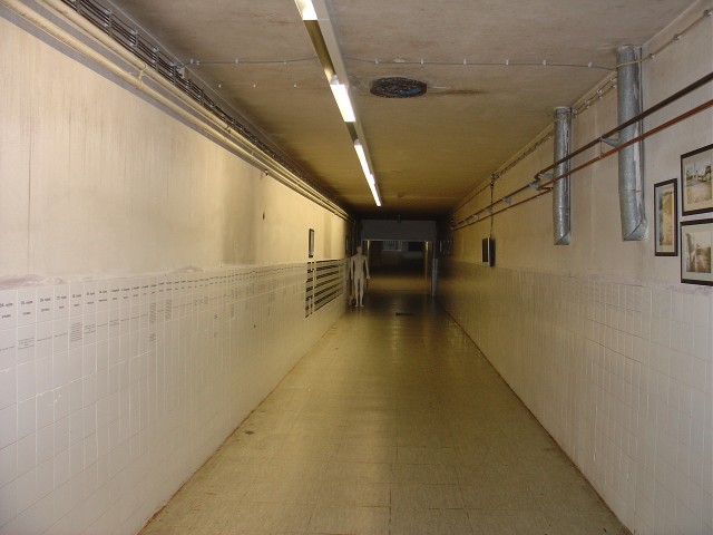 Vukovar - ljubljana 2008 - foto