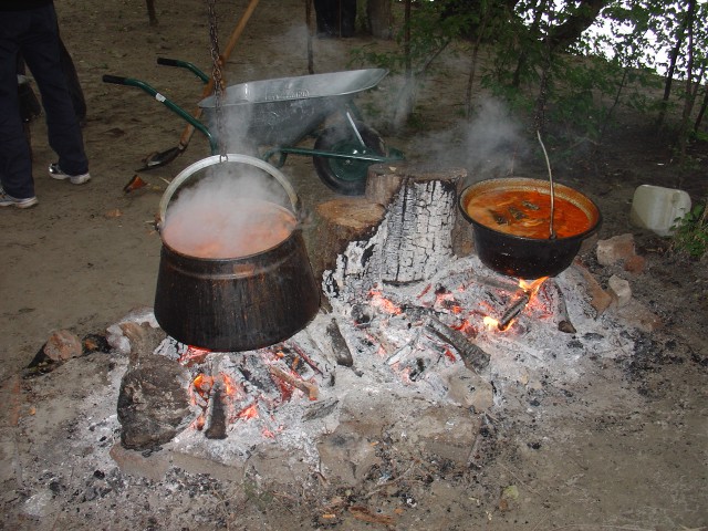 Vukovar - ljubljana 2008 - foto
