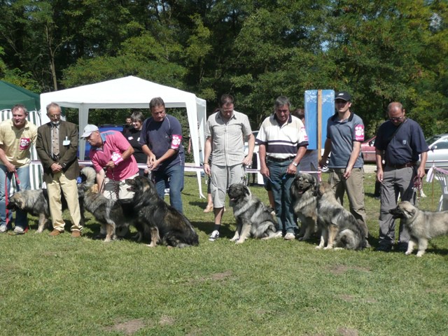 CAC Trbovlje, 30.08.2009 - foto