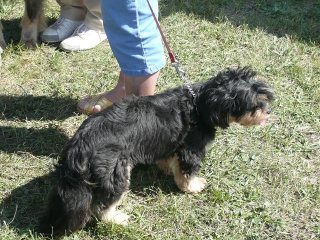 CAC Trbovlje, 30.08.2009 - foto povečava