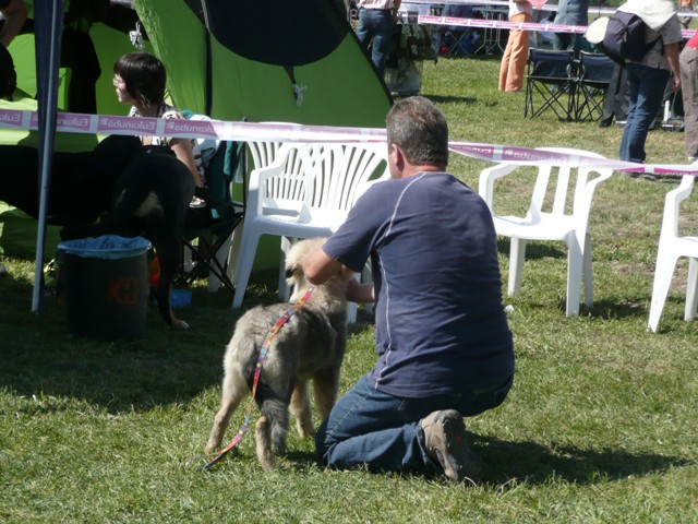 CAC Trbovlje, 30.08.2009 - foto povečava