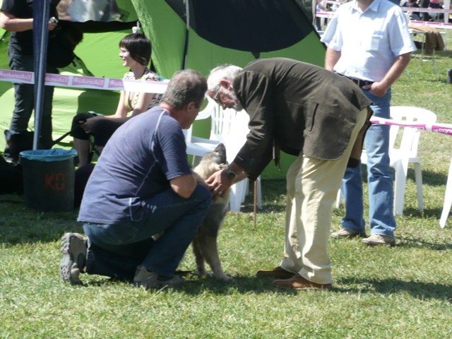 CAC Trbovlje, 30.08.2009 - foto