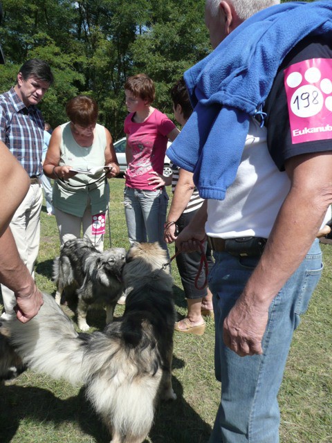 CAC Trbovlje, 30.08.2009 - foto