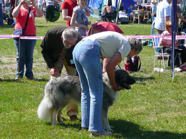 CAC Trbovlje, 30.08.2009 - foto povečava