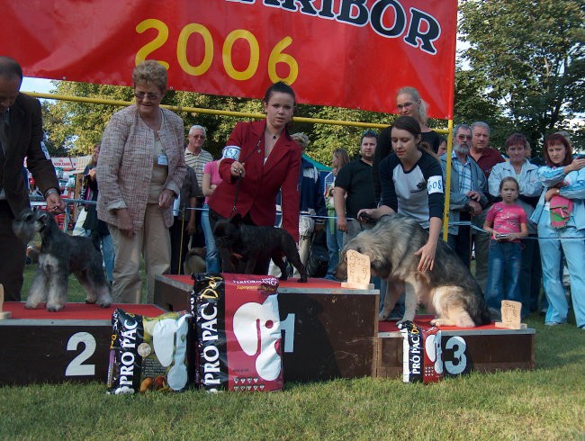 CACIB Maribor, 24.9.2006 - foto povečava