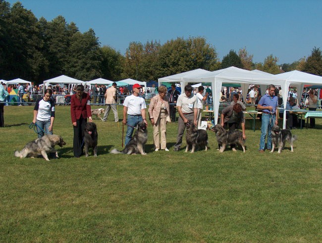 CACIB Maribor, 24.9.2006 - foto povečava