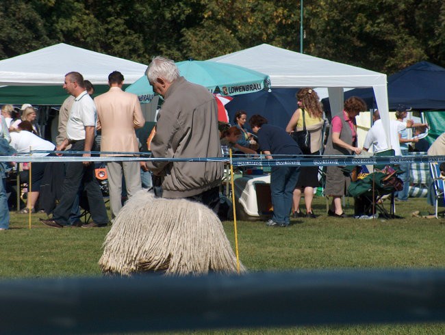 CACIB Maribor, 24.9.2006 - foto povečava