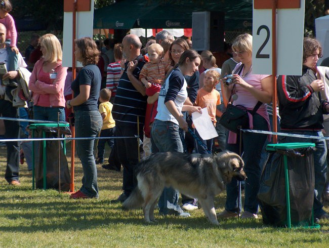 CACIB Maribor, 24.9.2006 - foto povečava