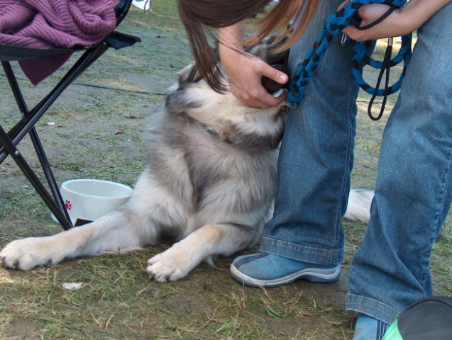 CACIB Maribor, 24.9.2006 - foto