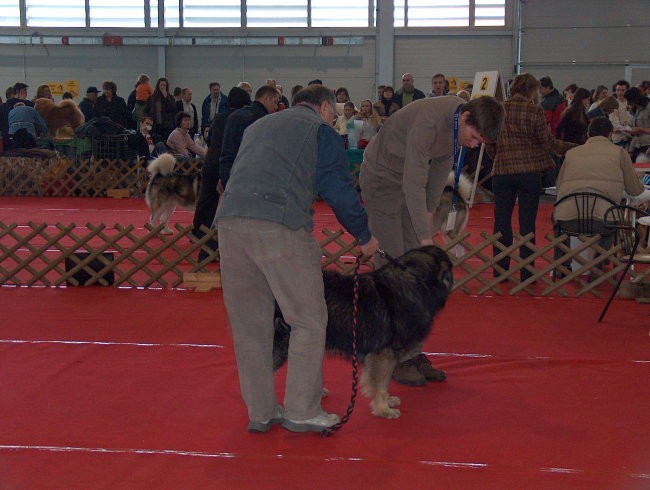 CAC Celje, 25.02.2007 - foto povečava