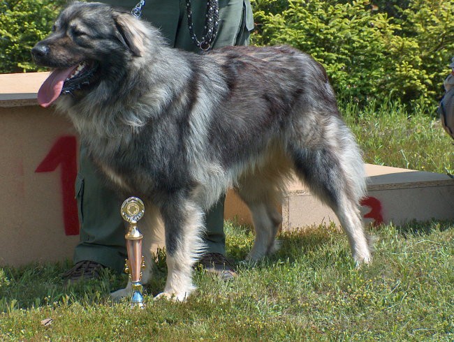 Specialka KO, Maribor, 20.5.2007 - foto povečava