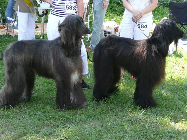 CAC Trbovlje, 26.8.2007 - foto povečava