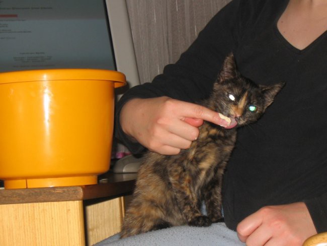 Njami, še bi mami. :)