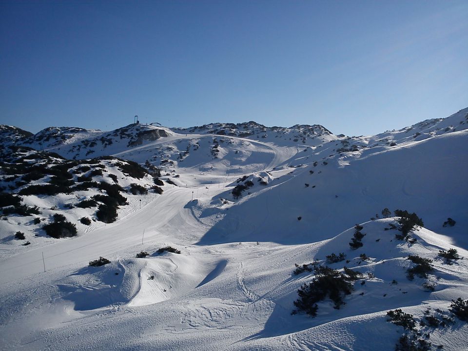 VOGEL, 09.02.2011 - foto povečava