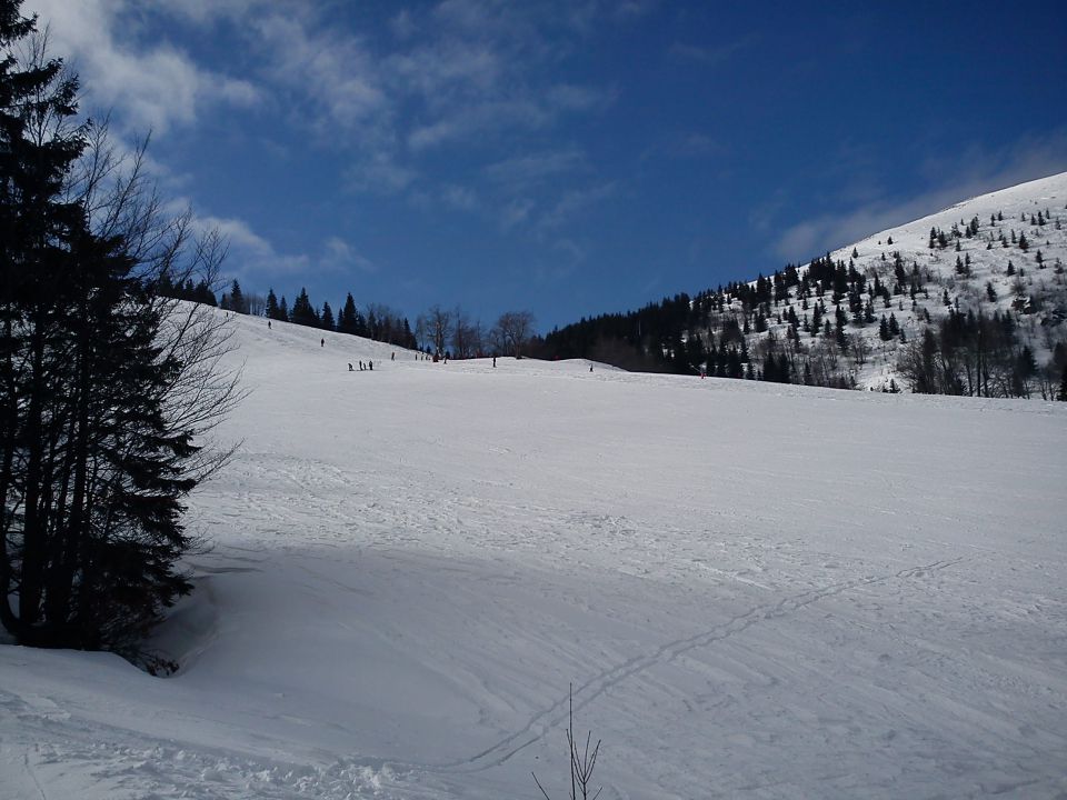 Soriška planina, 26.02.2011 - foto povečava