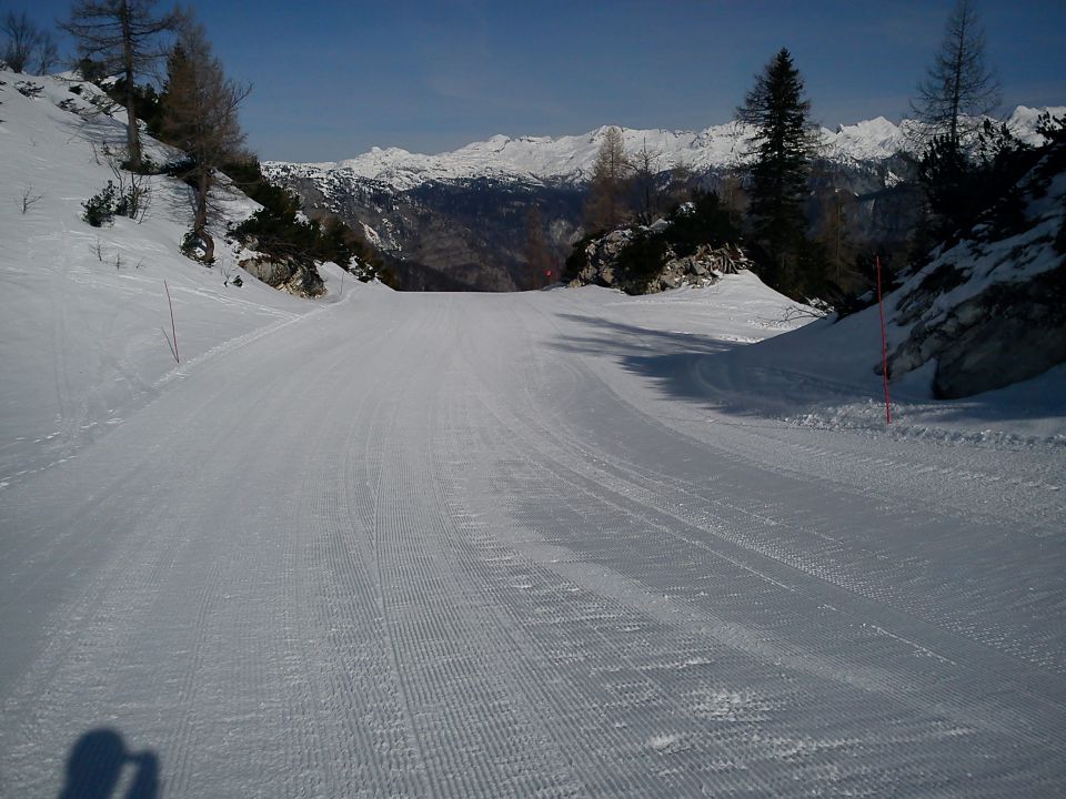 Vogel, 22.03.2011 - foto povečava